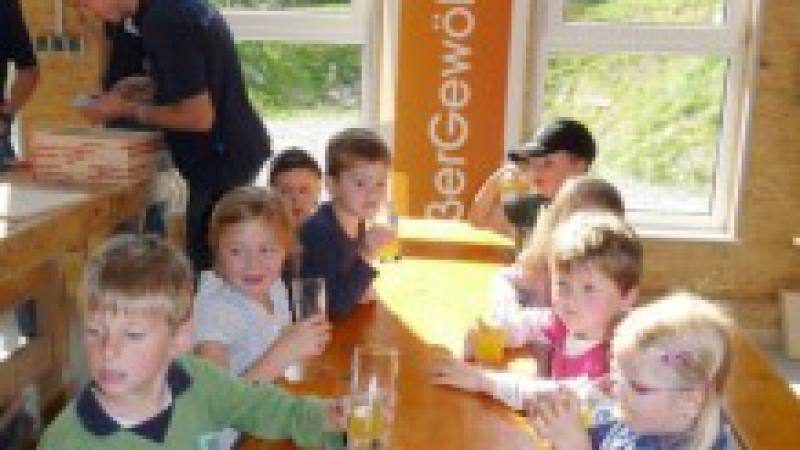 16-9-12_schirmP1180444